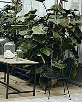 Irony silla de comedor exterior negra