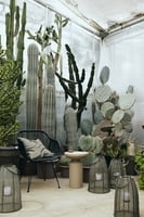 Garden silla con reposabrazos Garden silla con reposabrazos